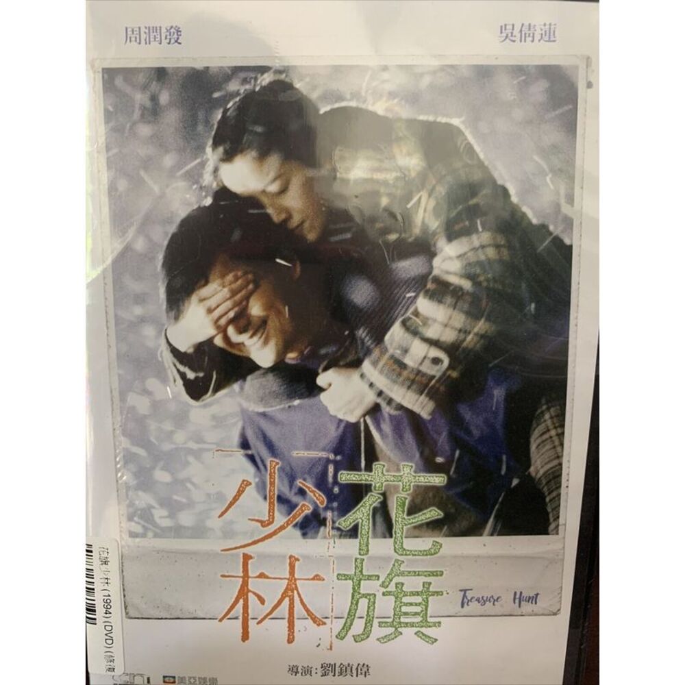 Treasure Hunt  DVD